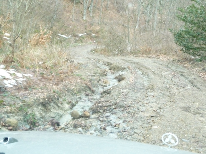 P1160878.JPG