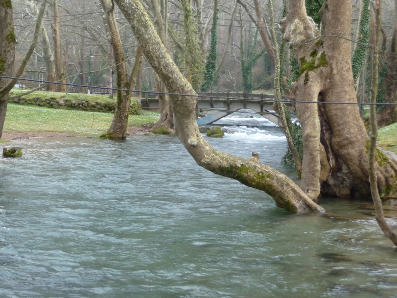P1160926.JPG