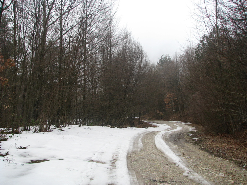 img0078s.jpg