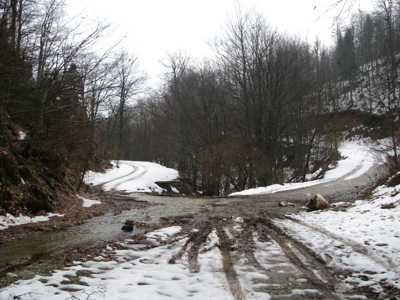 img0100iiz.jpg