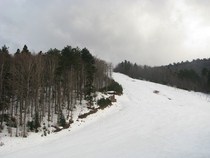 img0112eg.jpg