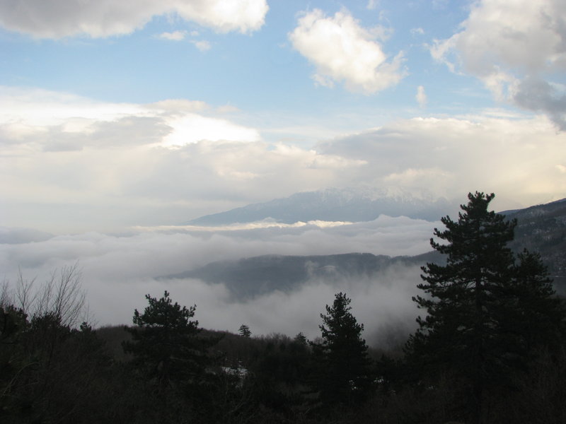 img0123ll.jpg
