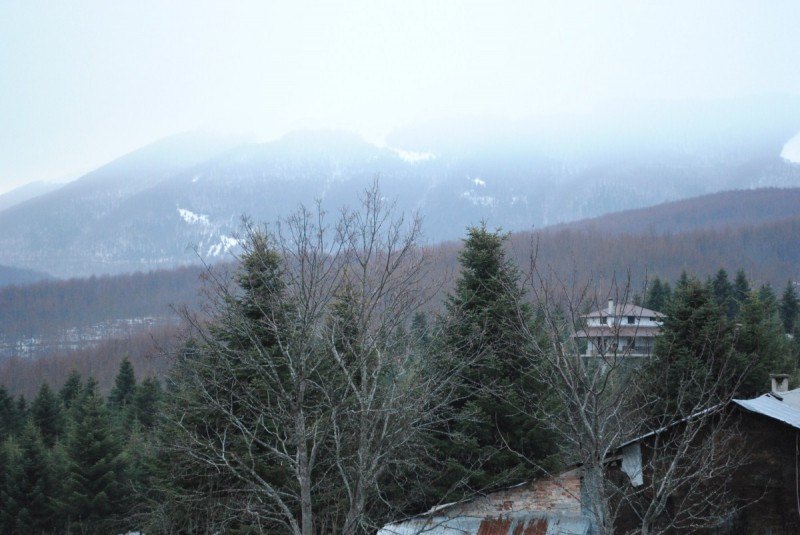 DSC_6522.jpg