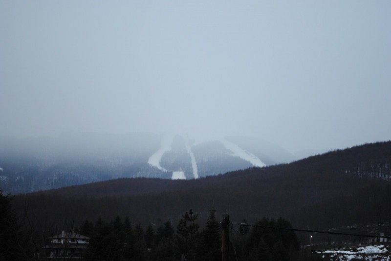 DSC_6523.jpg