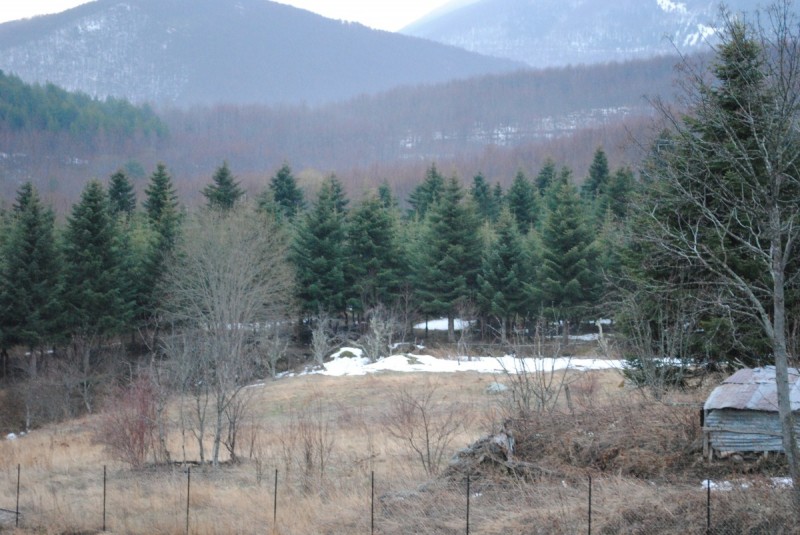 DSC_6526.jpg