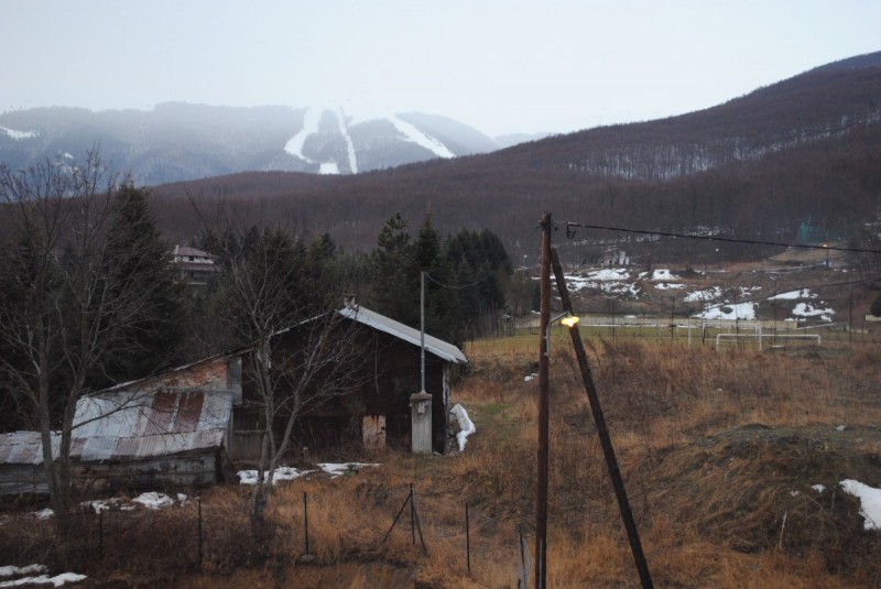 DSC_6542.jpg