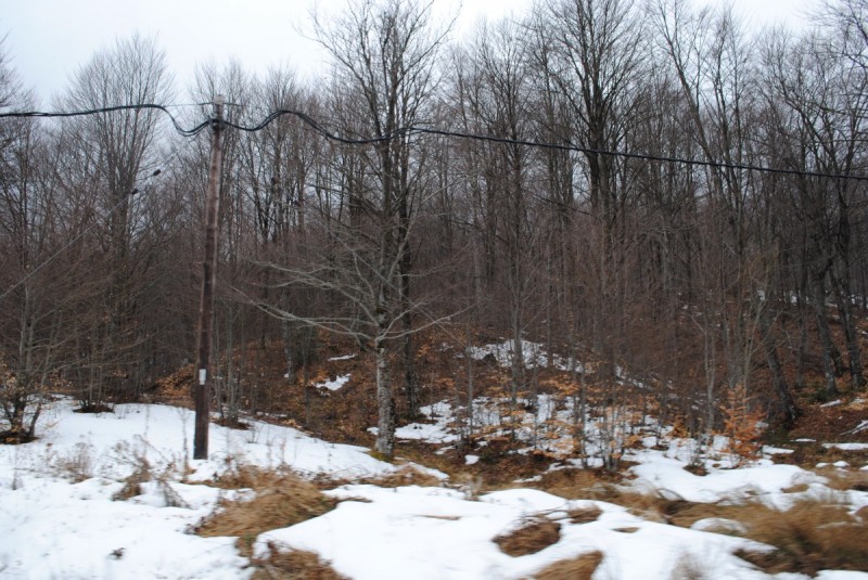 DSC_6559.jpg