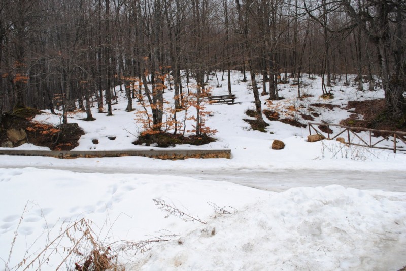DSC_6561.jpg