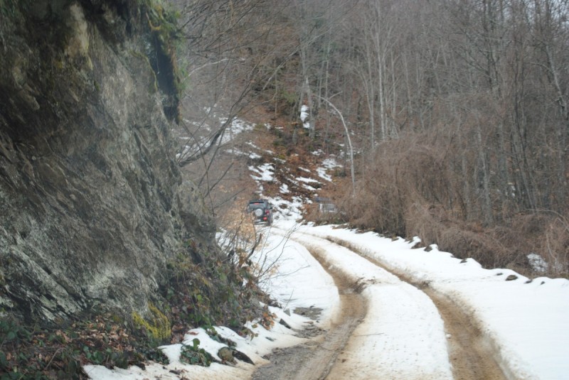 DSC_6575.jpg