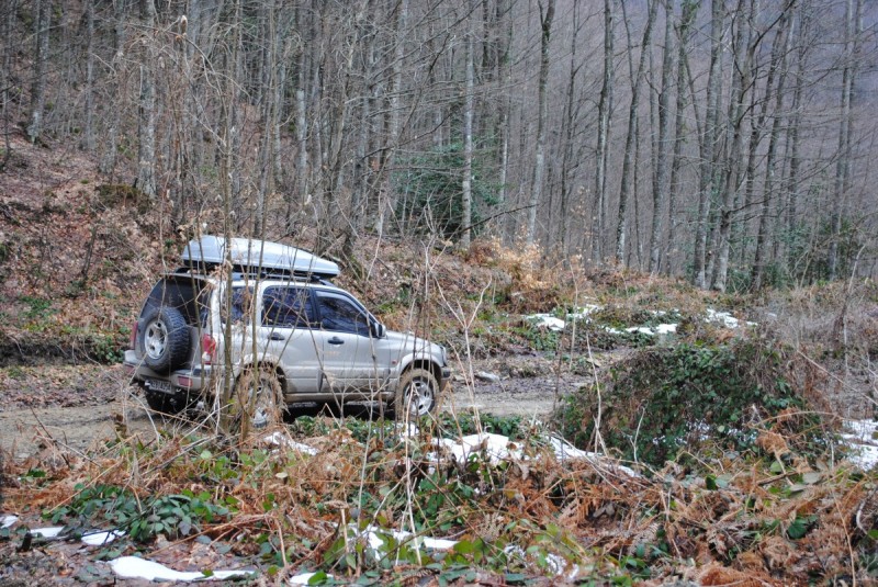 DSC_6578.jpg