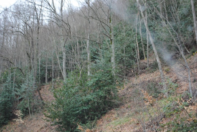 DSC_6580.jpg