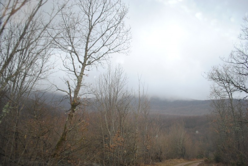 DSC_6594.jpg