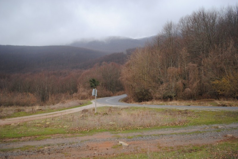 DSC_6599.jpg