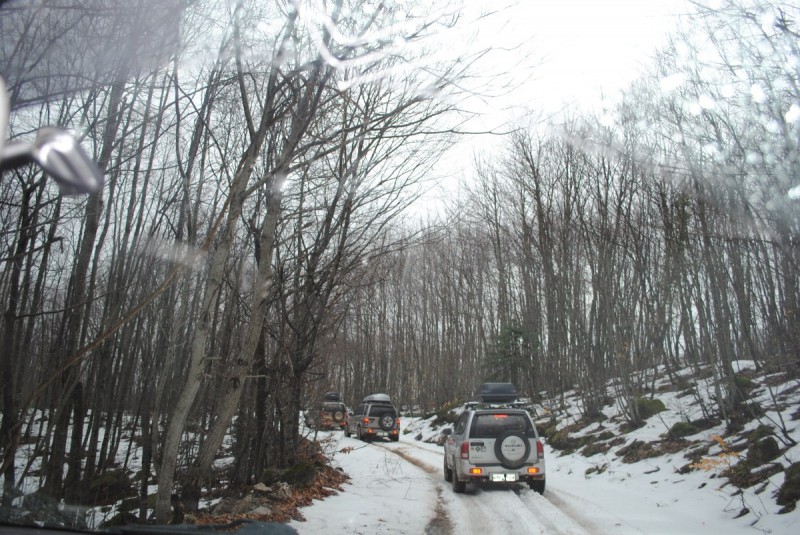 DSC_6614.jpg