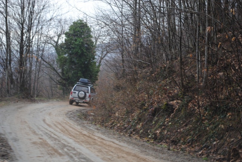 DSC_6624.jpg