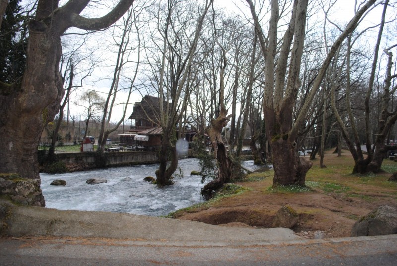 DSC_6631.jpg