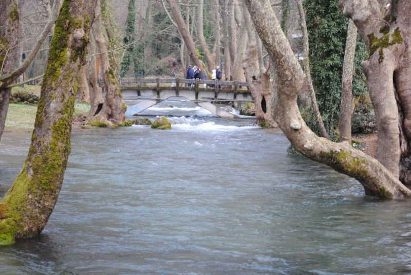 DSC_6635.jpg