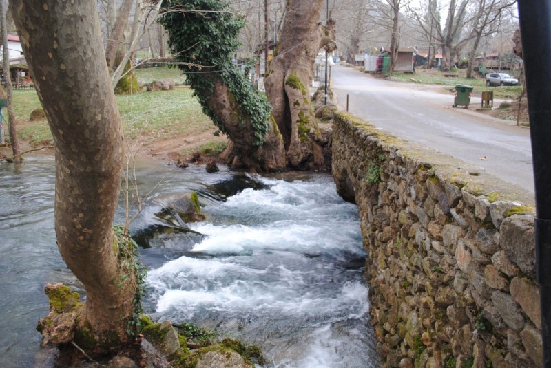 DSC_6644.jpg