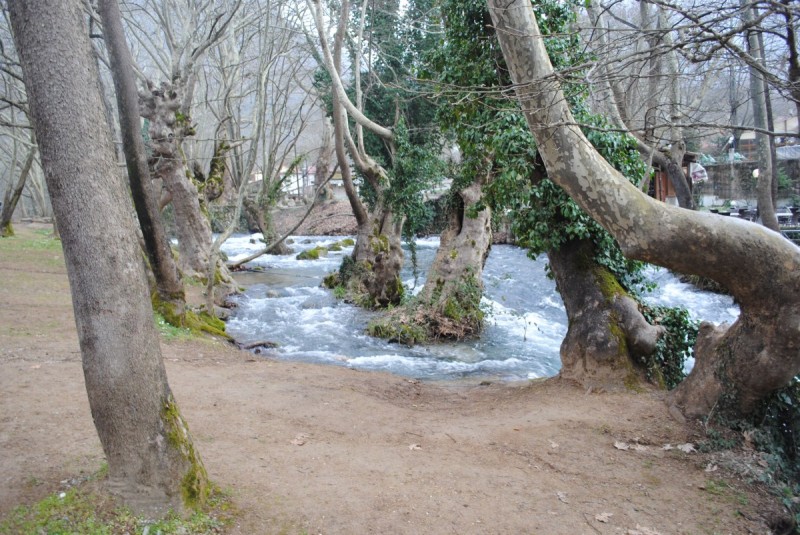 DSC_6661.jpg