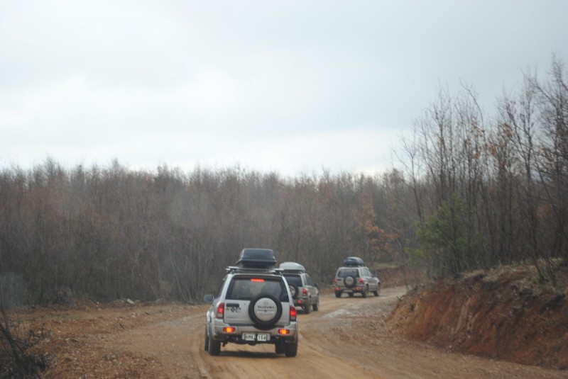 DSC_6684.jpg
