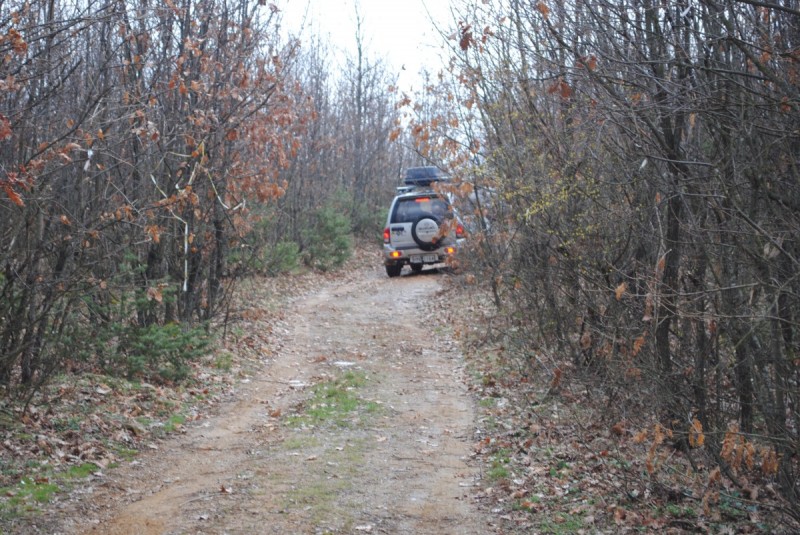 DSC_6691.jpg