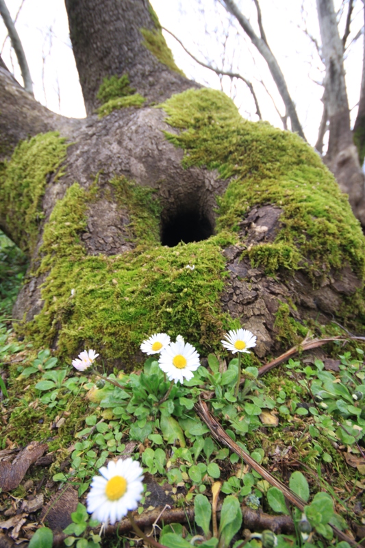 n 2011_03_19_0514.JPG