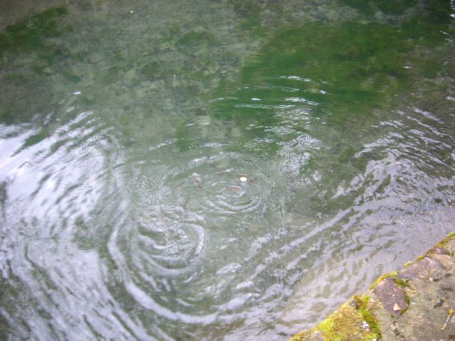 IMGP2398.JPG