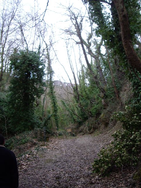 IMGP2404.JPG
