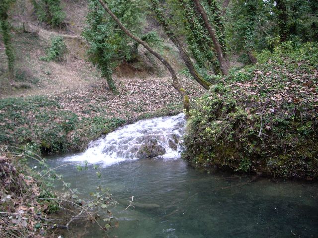 IMGP2411.JPG