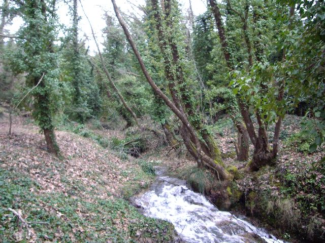 IMGP2412.JPG