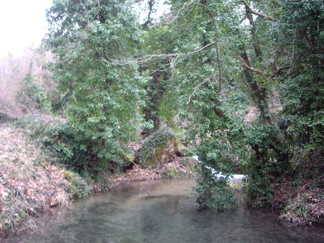 IMGP2413.JPG