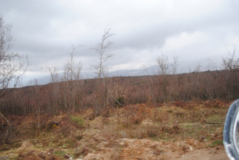 DSC_6712.jpg