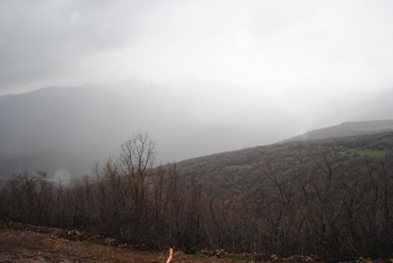 DSC_6722.jpg