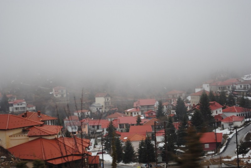DSC_6774.jpg