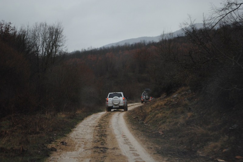DSC_6857.jpg