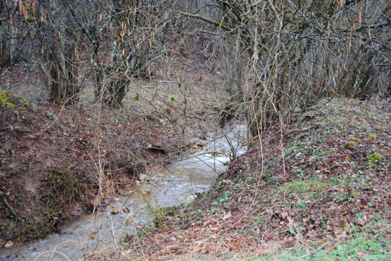 DSC_6865.jpg