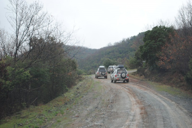 DSC_6956.jpg