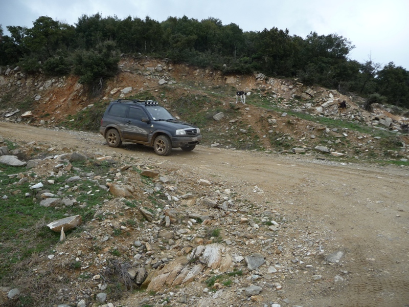P1170100.JPG