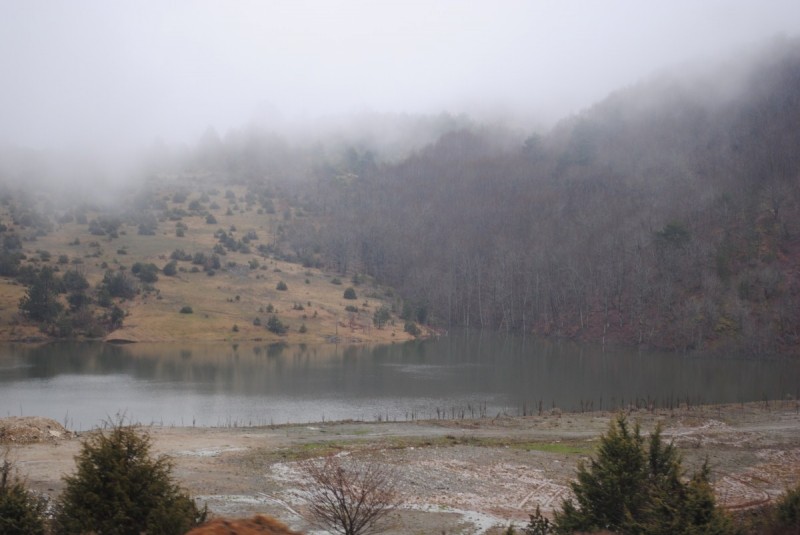 DSC_6997.jpg