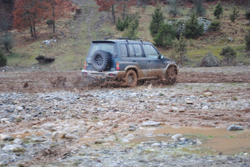 DSC_7017.jpg