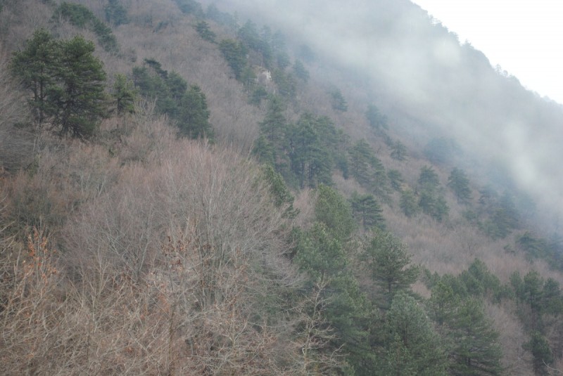 DSC_7086.jpg