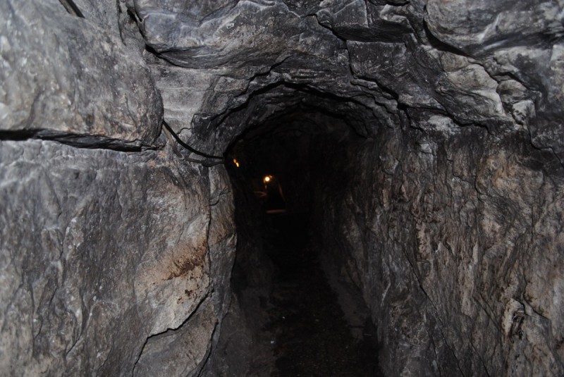 DSC_7164.jpg