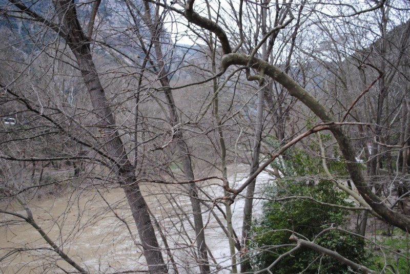 DSC_7174.jpg