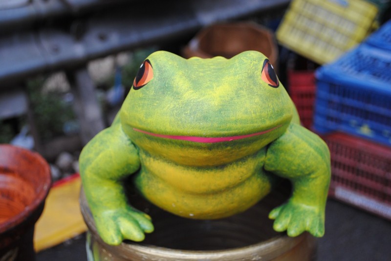 DSC_7183.jpg