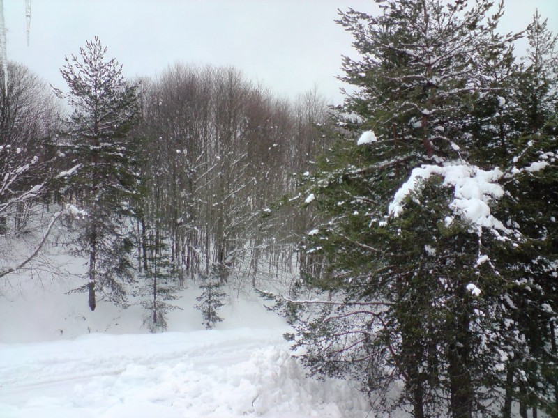 DSC00235.JPG