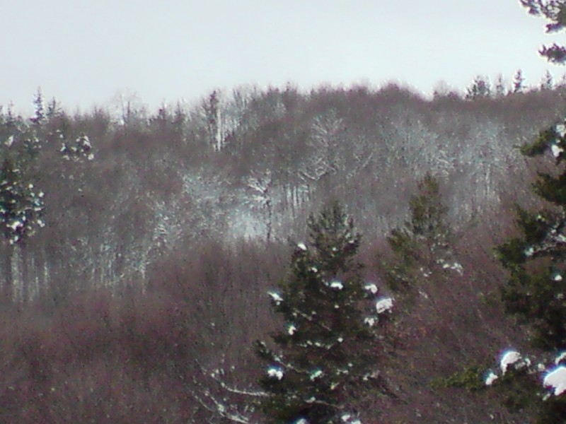 DSC00236.JPG
