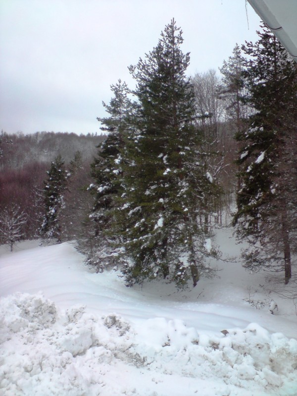 DSC00237.JPG