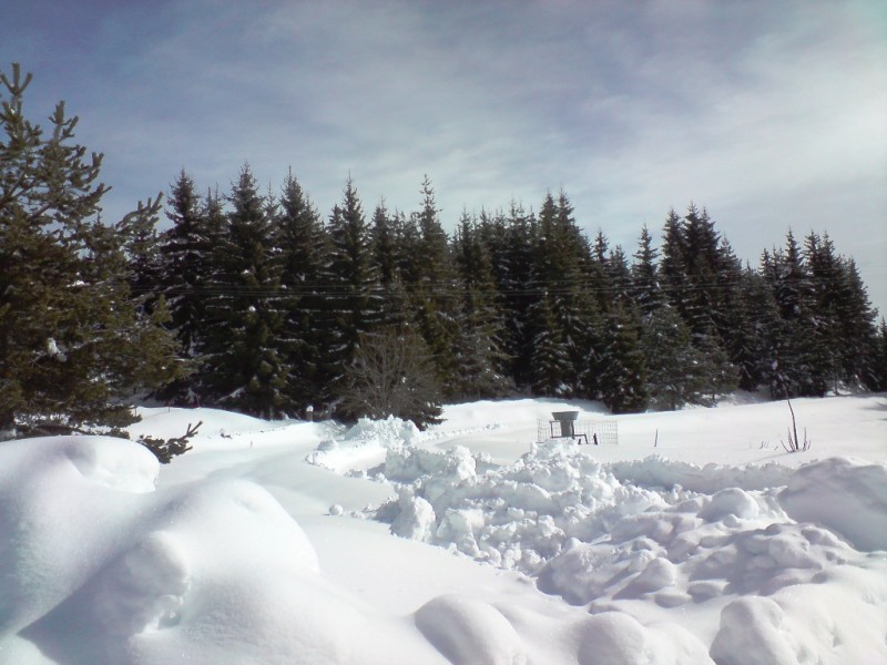 DSC00241.JPG