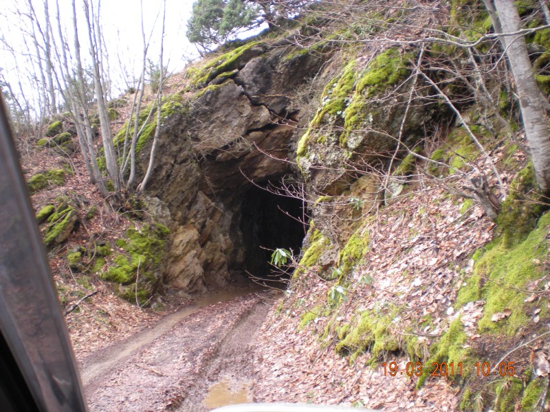 DSCN0980.jpg