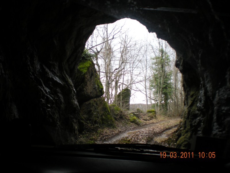 DSCN0982.jpg
